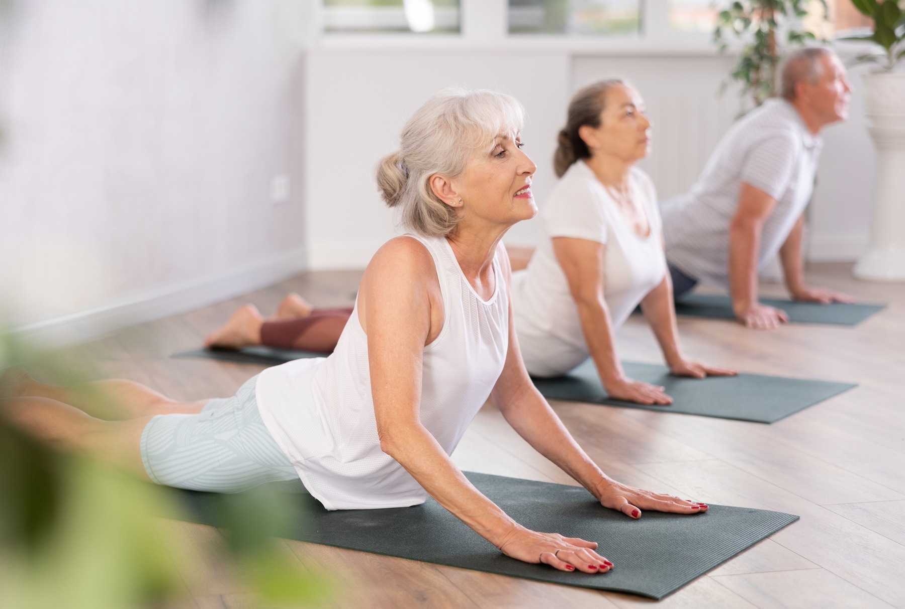 Healthy active joints